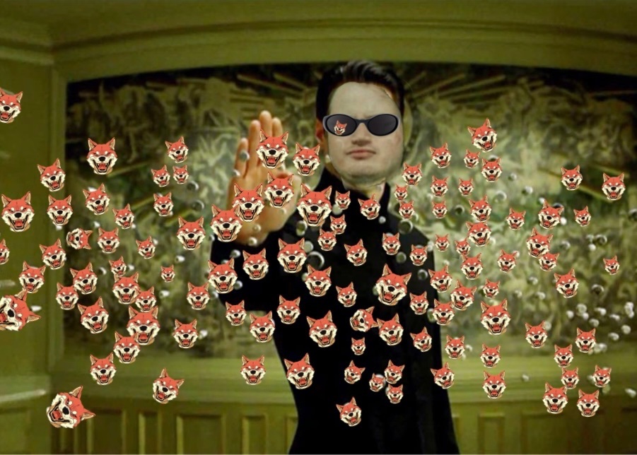 luziethecat's tweet image. Don’t fade $Kendu, we all know where it’s going.