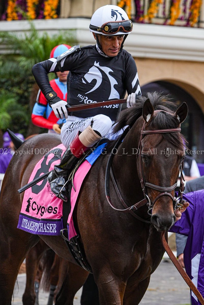 S_T_A_Y_G_O_L_D's tweet photo. #BreedersCupSprint ( @BreedersCup )
#Cygames (@Cygames_EN @Cygames_PR )
1st. #StraightNoChaser
Jockey #JohnVelazquez
Trainer #DanBlacker ( @danblacker )
Owner #MyRacehorse ( @MyRacehorse @MichaelBehrens )
#BreedersCupWorldChampionships
#DelmarRaceCourse #LONGINES
#horseracing https://t.co/6QmteSiAgU