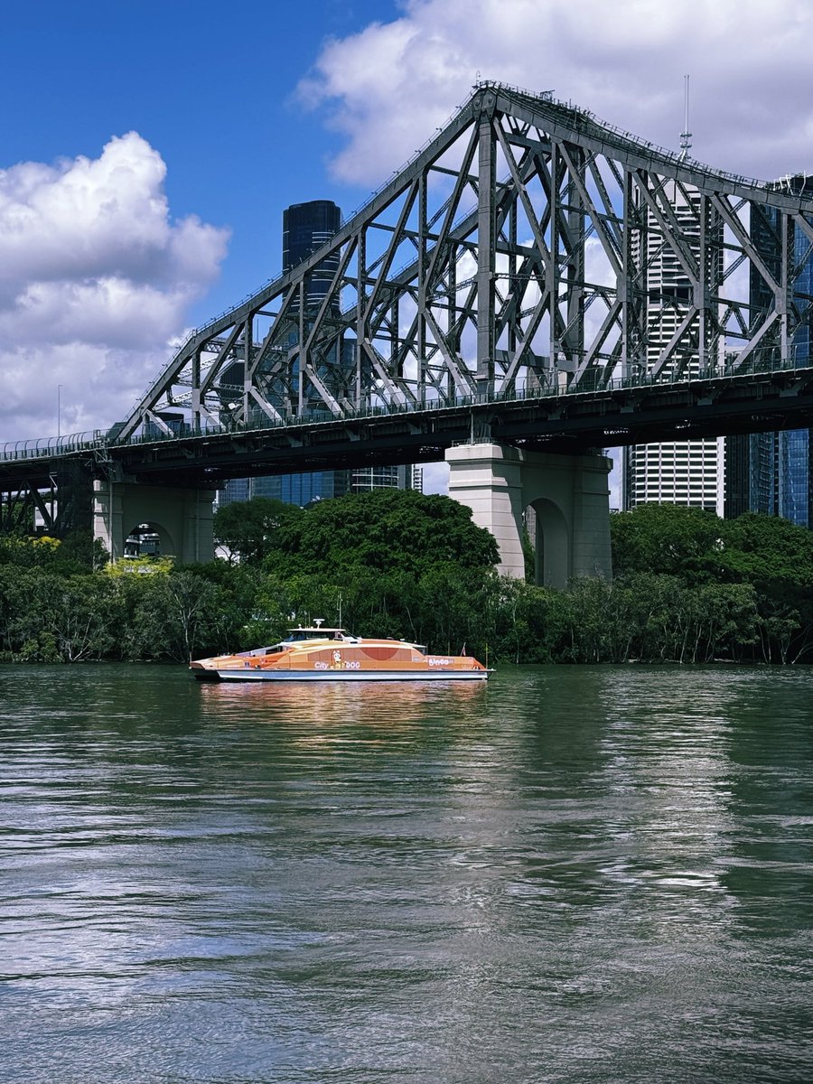 Brisbane CityCats 🐱 become Bluey CityDogs today 🐶 ⛴️