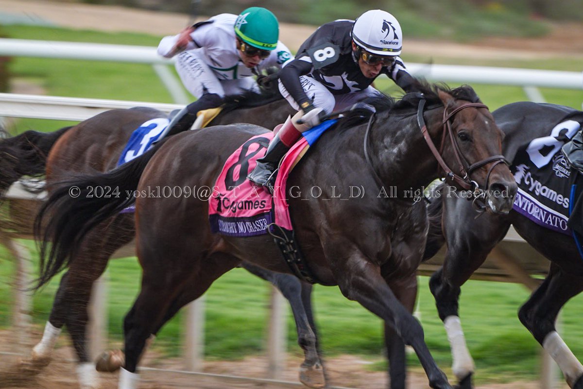 S_T_A_Y_G_O_L_D's tweet photo. #BreedersCupSprint ( @BreedersCup )
#Cygames (@Cygames_EN @Cygames_PR )
1st. #StraightNoChaser
Jockey #JohnVelazquez
Trainer #DanBlacker ( @danblacker )
Owner #MyRacehorse ( @MyRacehorse @MichaelBehrens )
#BreedersCupWorldChampionships
#DelmarRaceCourse #LONGINES
#horseracing https://t.co/7fAPtZuKkl