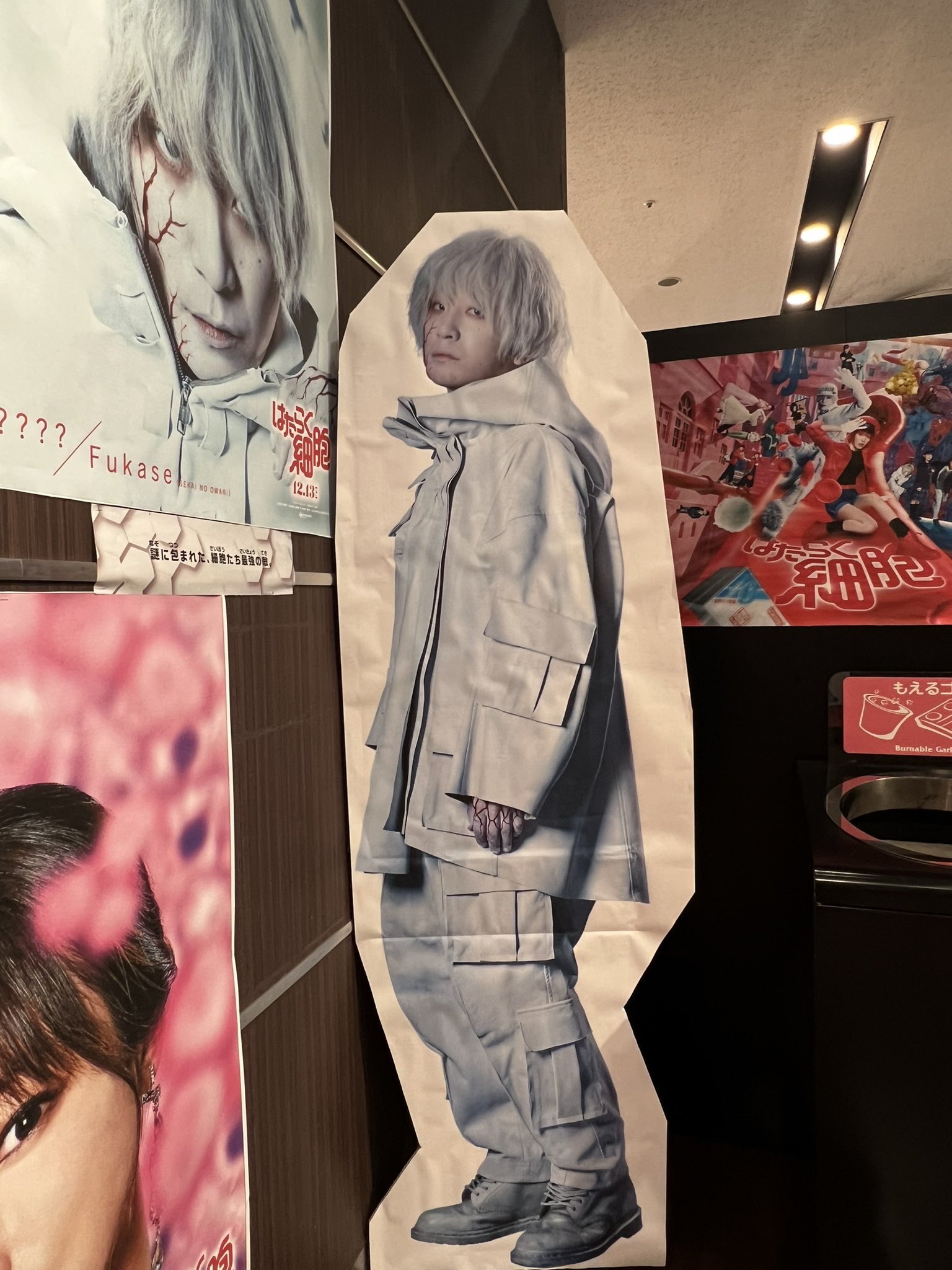 はたらく細胞 深瀬 直筆サイン入り フライヤー はたらく細胞 深瀬 直筆サイン入り フライヤー
