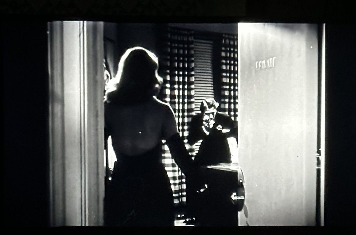 NOIR #nobodylivesforever #tcmparty  #noiralley