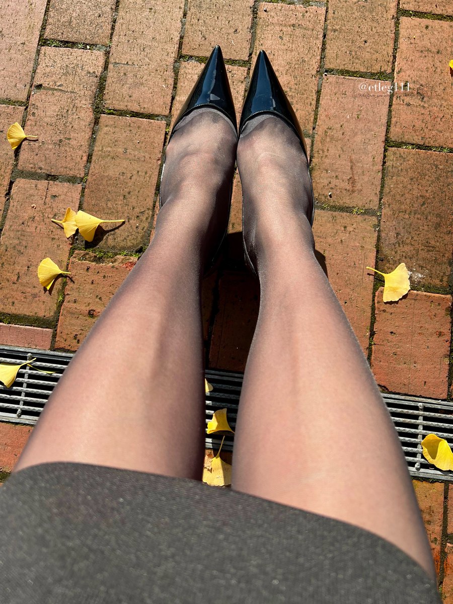 秋の日🍂
とても良いお天気でした☀️ https://t.co/n7EYbF5gtv