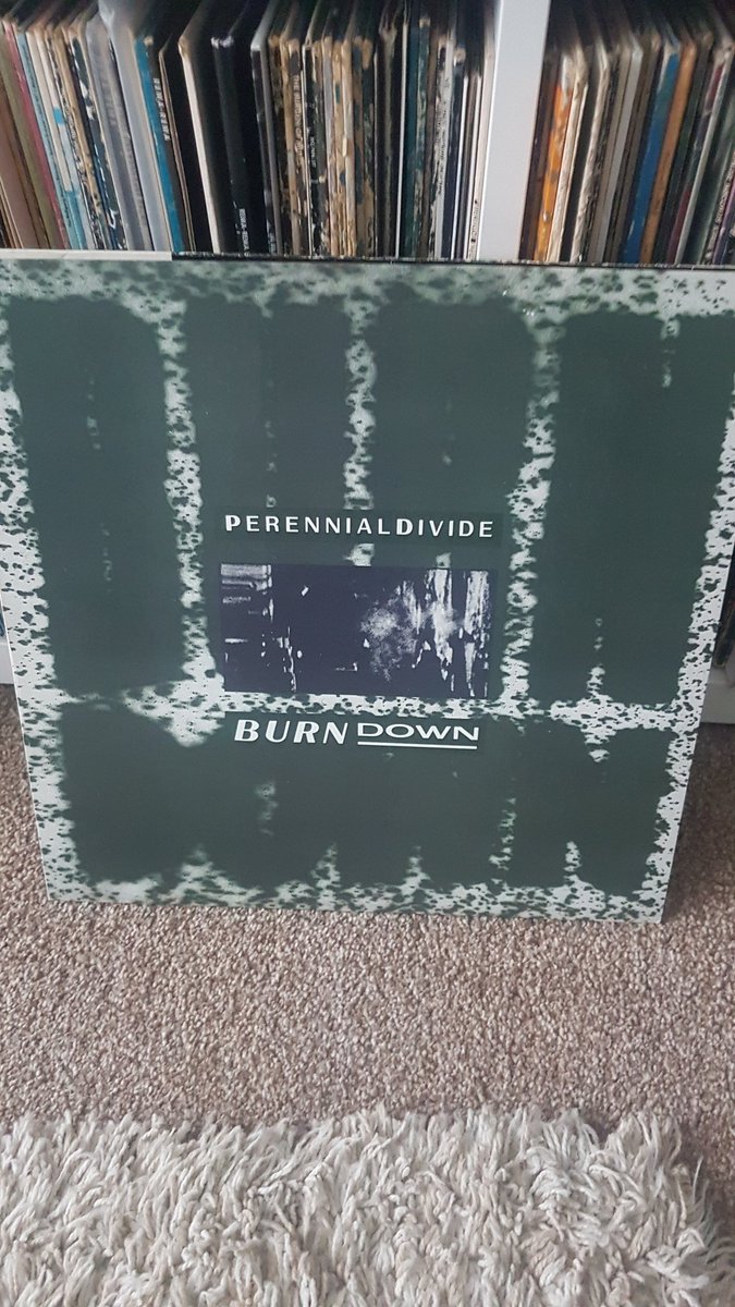 DJ Explain tweet media