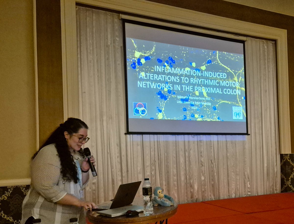 Little Brain Big Brain (@lbbb_meeting) on Twitter photo A stimulating session on GI Motor Circuits⚡️by <a href="/MadeleineDiNat1/">Madeleine Di Natale</a> @WMoralesSoto <a href="/MitchellRinguet/">Mitchell Ringuet</a> and Luisa Valdetaro.
What an impressive wrap-up of Day 1 of #LBBB2024 👏 A stimulating session on GI Motor Circuits⚡️by <a href="/MadeleineDiNat1/">Madeleine Di Natale</a> @WMoralesSoto <a href="/MitchellRinguet/">Mitchell Ringuet</a> and Luisa Valdetaro.
What an impressive wrap-up of Day 1 of #LBBB2024 👏