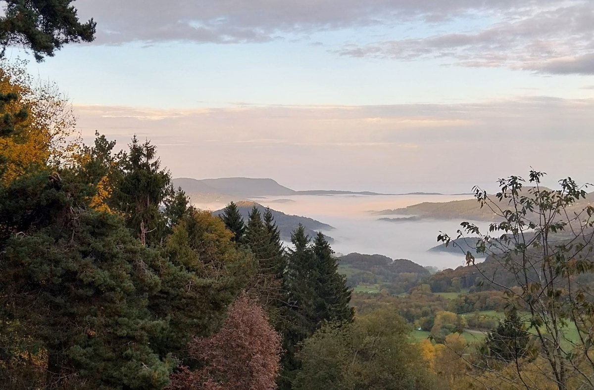 editionsarfuyen's tweet image. La "Lettre du Lac Noir" n° 51 
est en cours d'envoi        

Au sommaire :  L'éditorial (CATHERINE CHALIER sur la série d'ouvrages consacrés aux maîtres du hassidisme), NAHMAN DE BRATZLAV et les six auteurs parus depuis 2011

Abonnez-vous gratuitement :
editionsarfuyen.com/category/lettr…