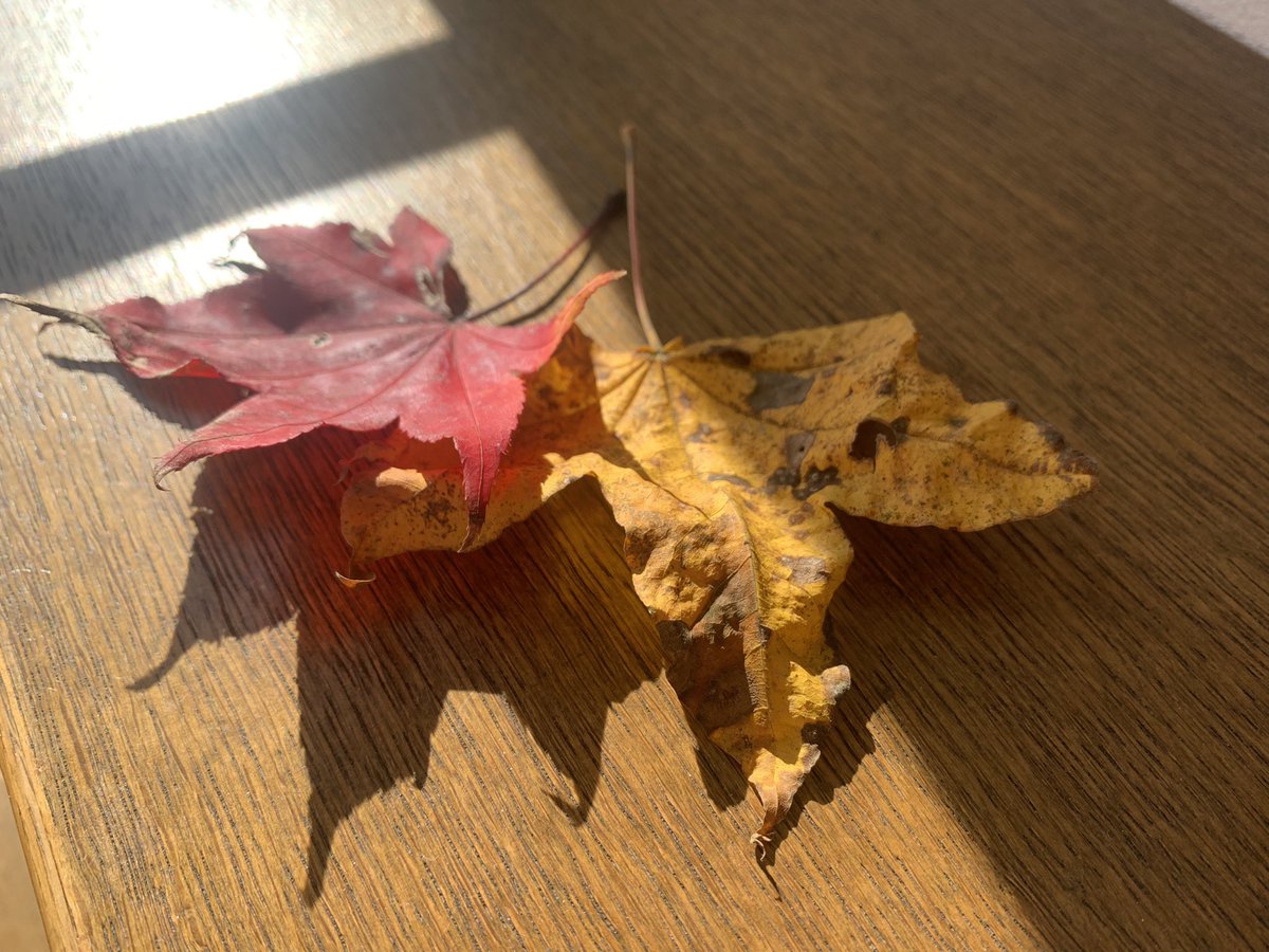 PINKMEN's tweet photo. ようやく秋。もうすぐ冬。#軽井沢 https://t.co/abt4K8FNhA