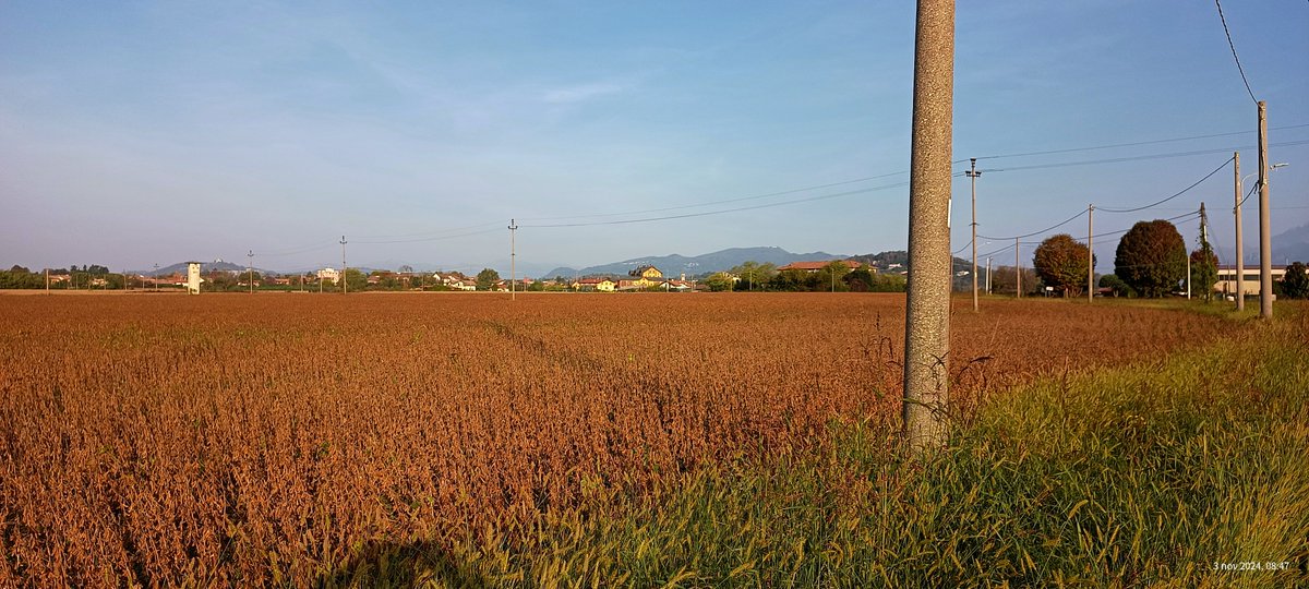 luigifoschini's tweet image. 🏃‍♂️ #runningtime #iocorroqui