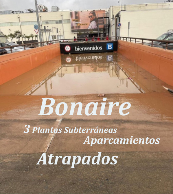 LagarteraTv Com tweet media