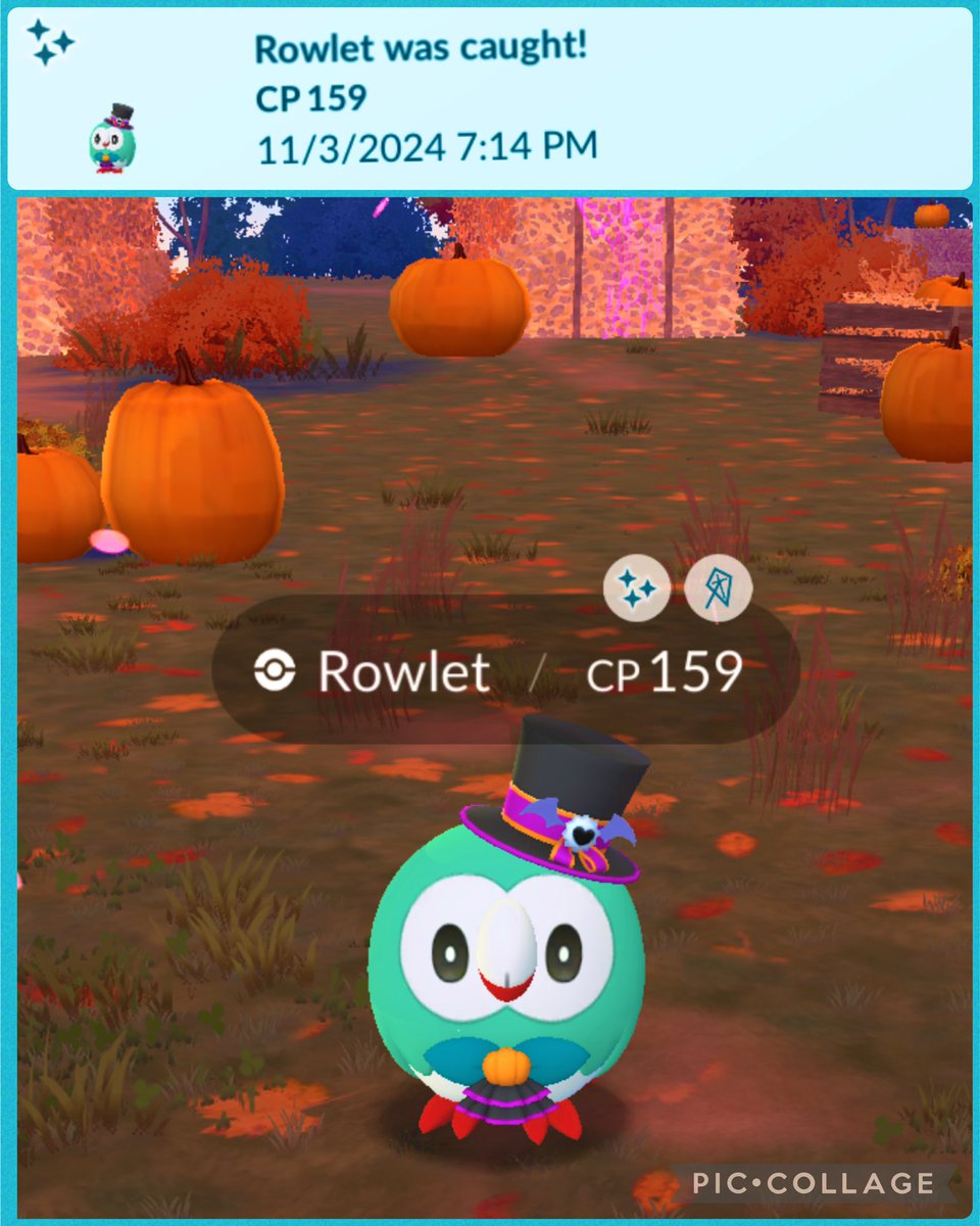 SmileThippy's tweet photo. ☆.´ `. ☽¸💤✨
..(͡๏̯͡๏)(͡๏̯͡๏)
..( , ,)( , ,). #ShinyRowlet
´¯**´¯**´¯`#PokemonGO🇦🇺🧢🫶🏻 https://t.co/hJzsQoStaB