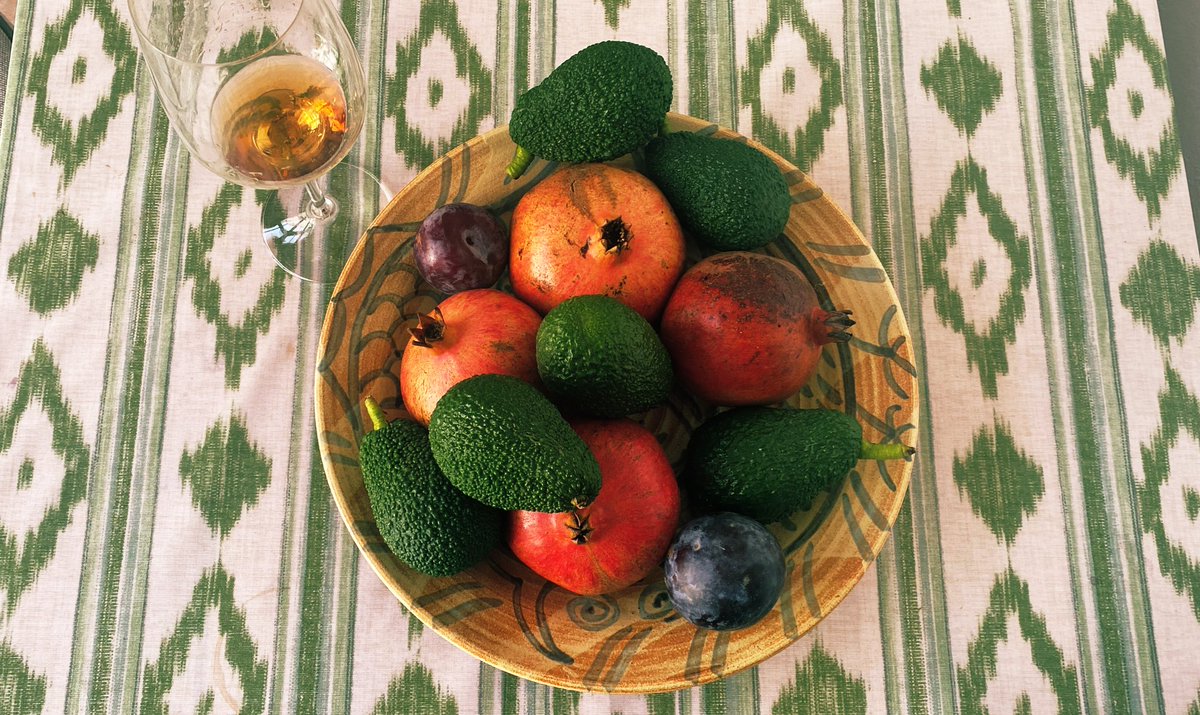 mut_tomas's tweet photo. Avui, Sant Ermengol. 
Fruits de tardor i de #s’Aranjassa és massa. https://t.co/1UOBkXU9JM