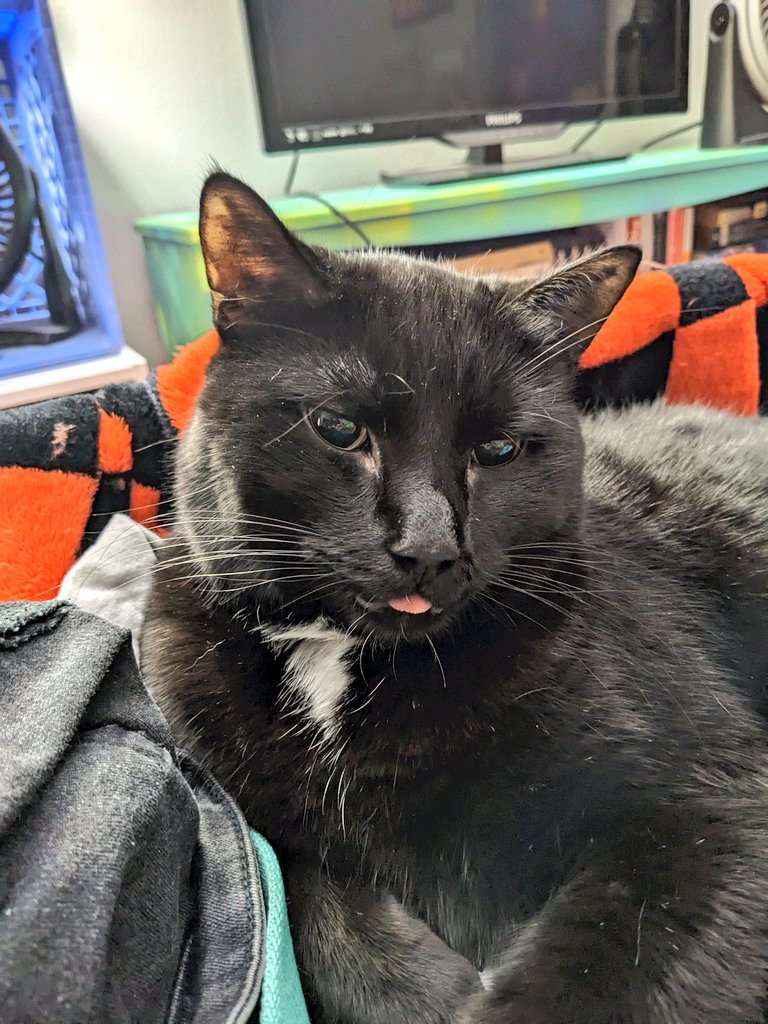 lockneth's tweet photo. a parker appreciation post https://t.co/Gi2GZ9KiFQ
