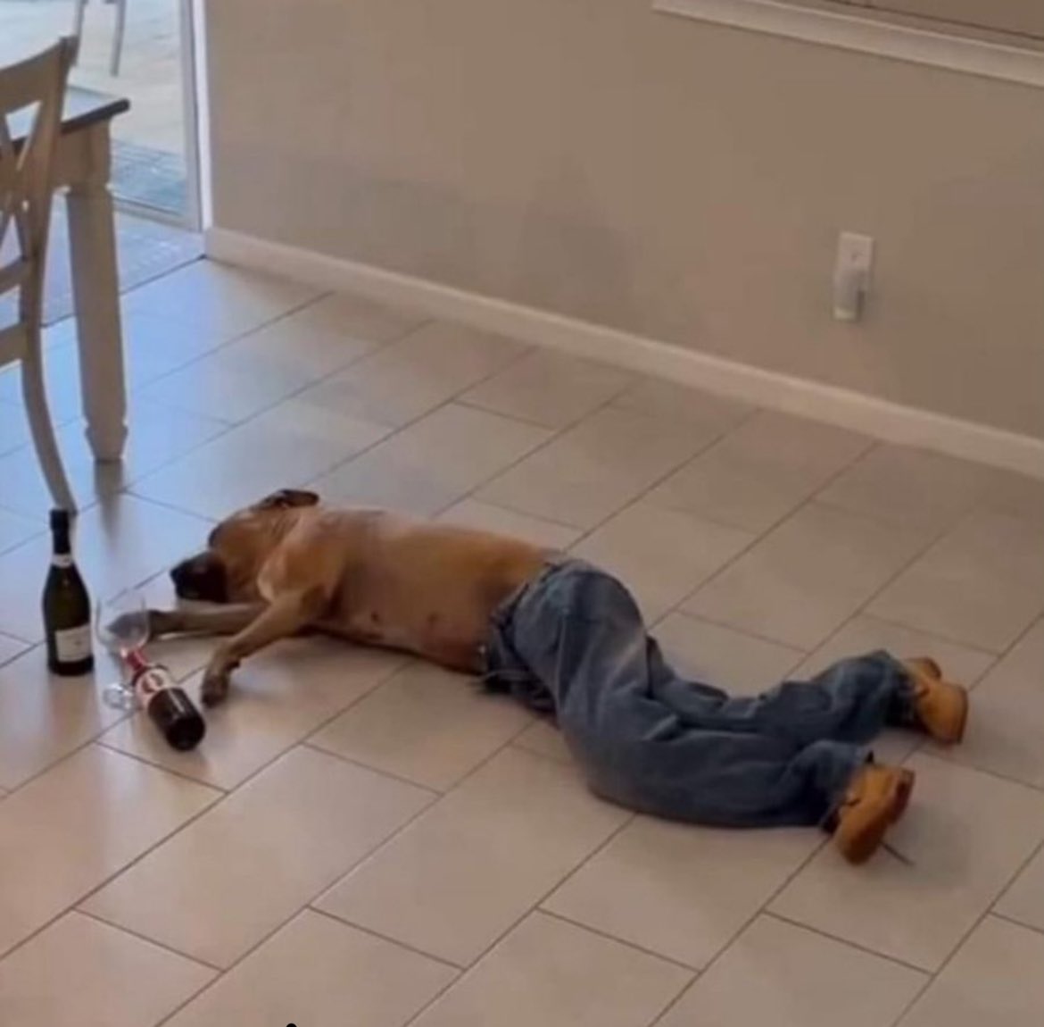 BUTTCEXCOIN's tweet photo. Just checked my crypto portfolio #100xgem #MemeCoinSeason #Crypto #Solana https://t.co/KGTqWir84L