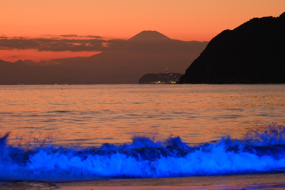 TQ7hjUjQJ12deev's tweet image. #逗子海岸
#nightwave