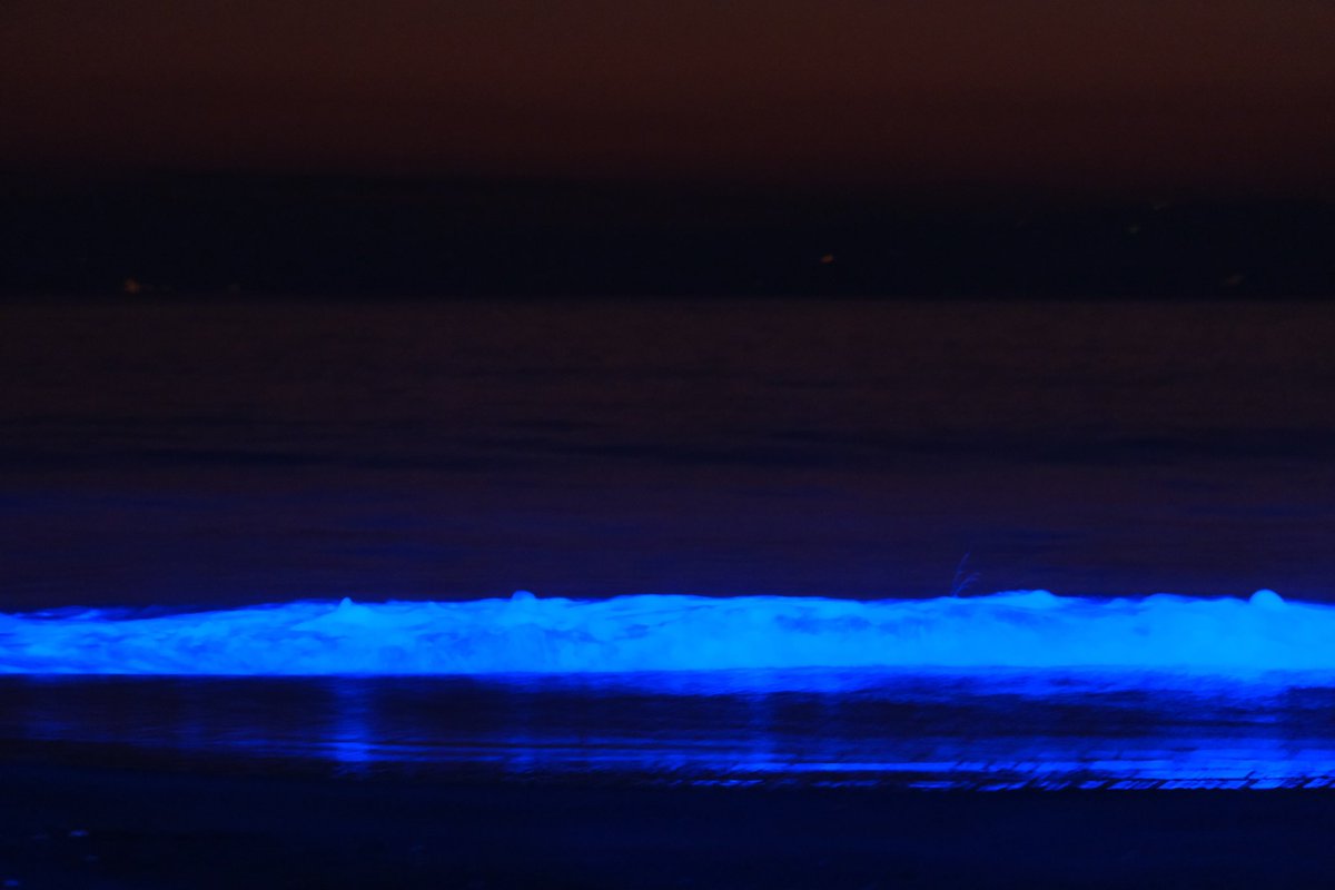 TQ7hjUjQJ12deev's tweet image. #逗子海岸
#nightwave