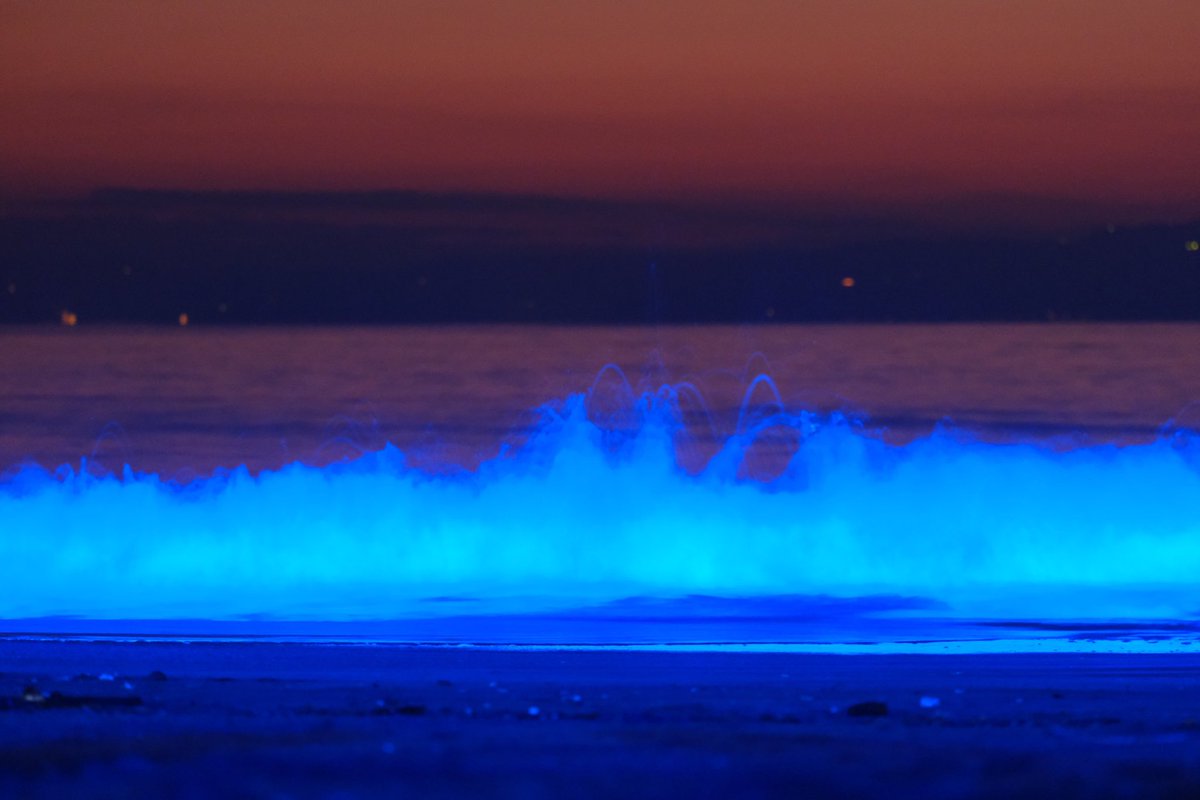 TQ7hjUjQJ12deev's tweet image. #逗子海岸
#nightwave