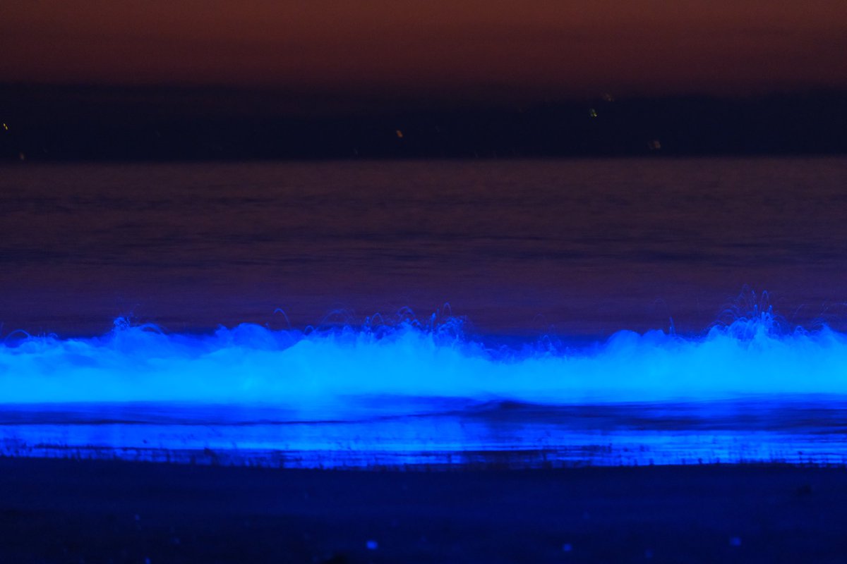 TQ7hjUjQJ12deev's tweet image. #逗子海岸
#nightwave