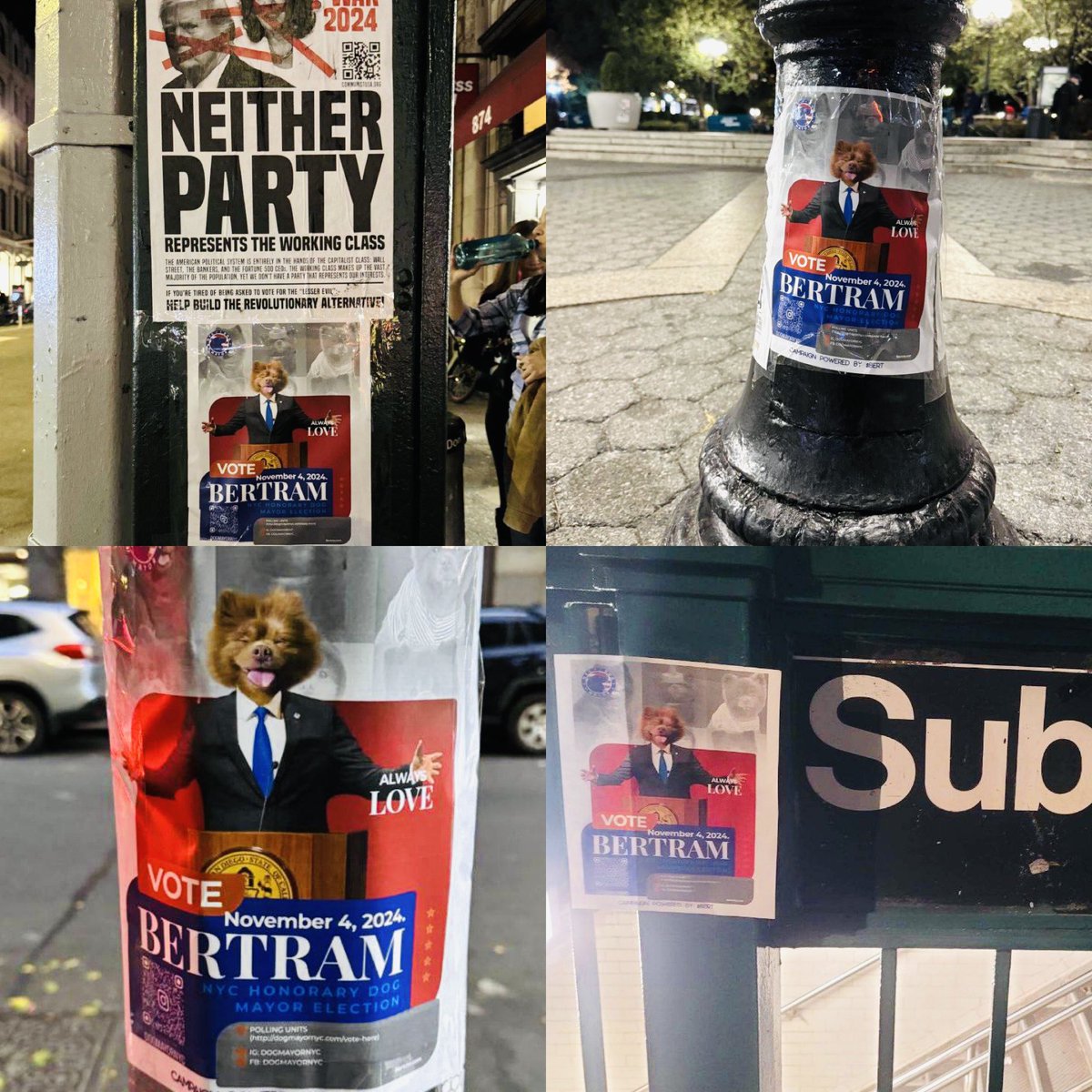 WOOFmornin, fam! 🐾 We’re taking NYC by storm for the <a href="/DogMayorNYC/">Honorary New York City Dog Mayor</a> election finals tomorrow! Posters and flyers are everywhere, and the city’s buzzing with $BERT energy. We vote tomorrow, let’s make this a win! 🗽🐶 #NYCDogMayor
