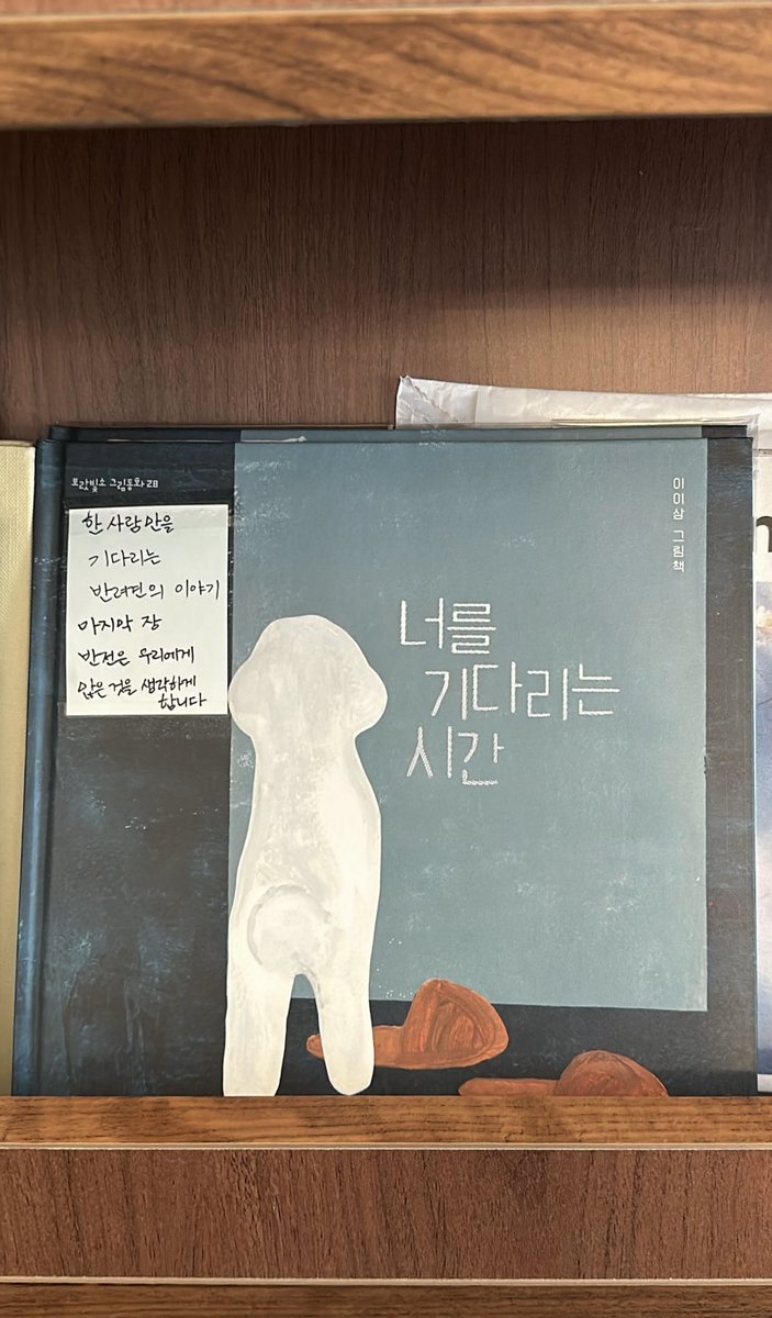 jinhaupdates's tweet photo. {🐨📷} 241103 https://t.co/v8cNvtHQEA