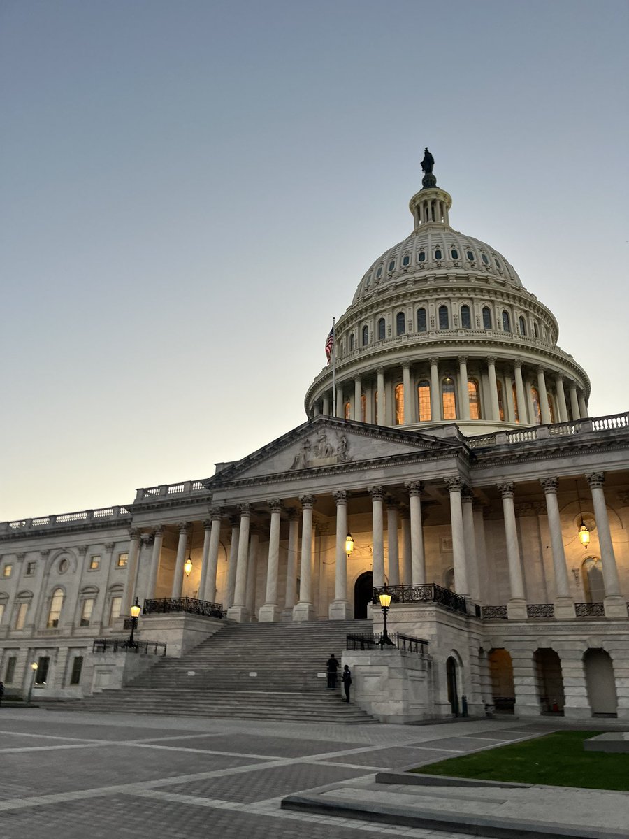 Lewis Goodall tweet media