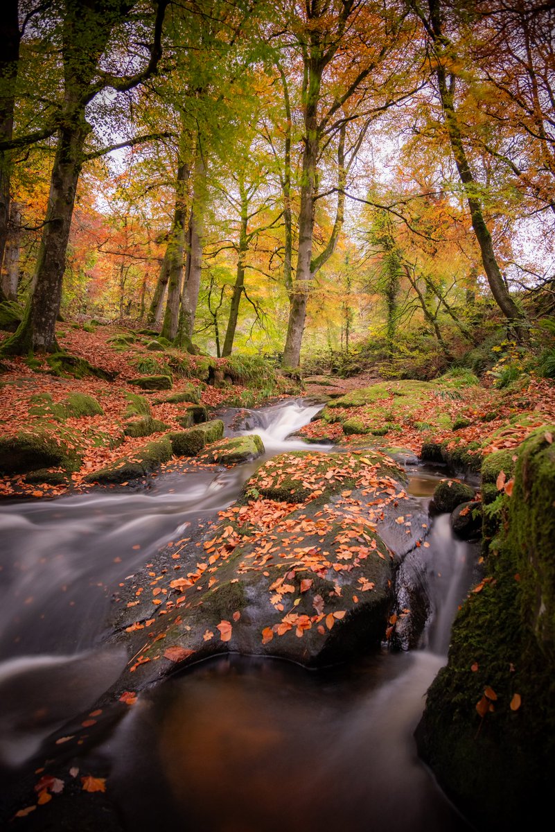 Magical Wicklow yesterday 🍂

#Wicklow #Ireland