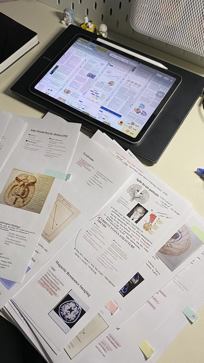 haaiii everyonee, only for next week, i will not be as active as i used to be. i have midterms so ill see u soon when i finish my midterms 🥹🫶🏻