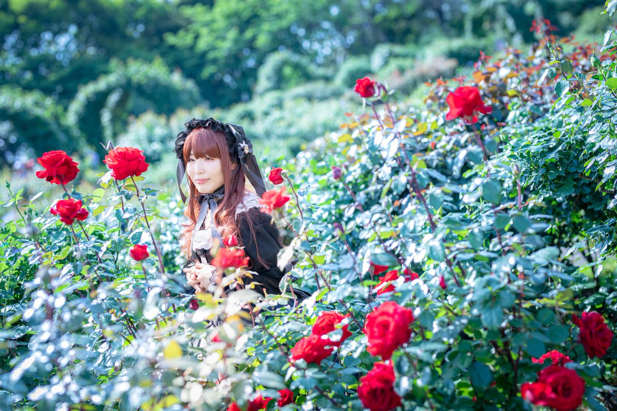 もちゃ🍀シンステY-15 tweet media