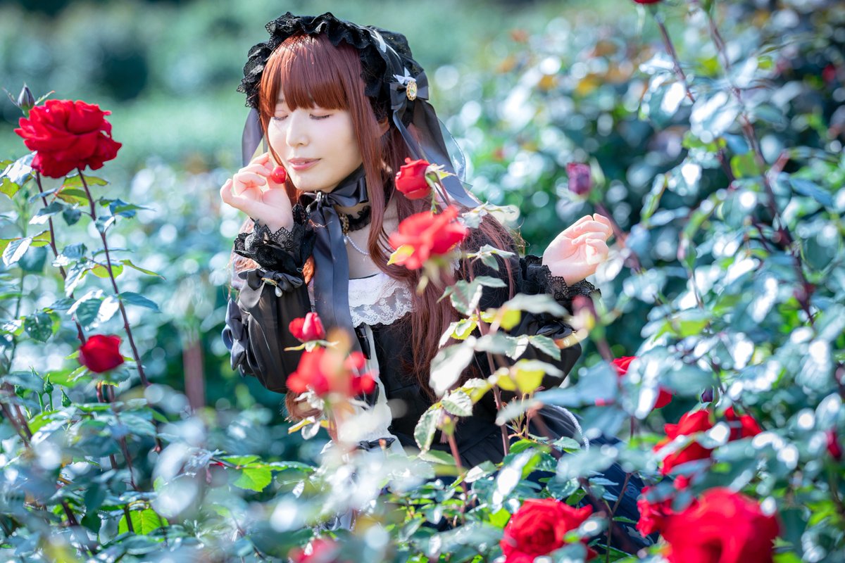 もちゃ🍀シンステY-15 tweet media