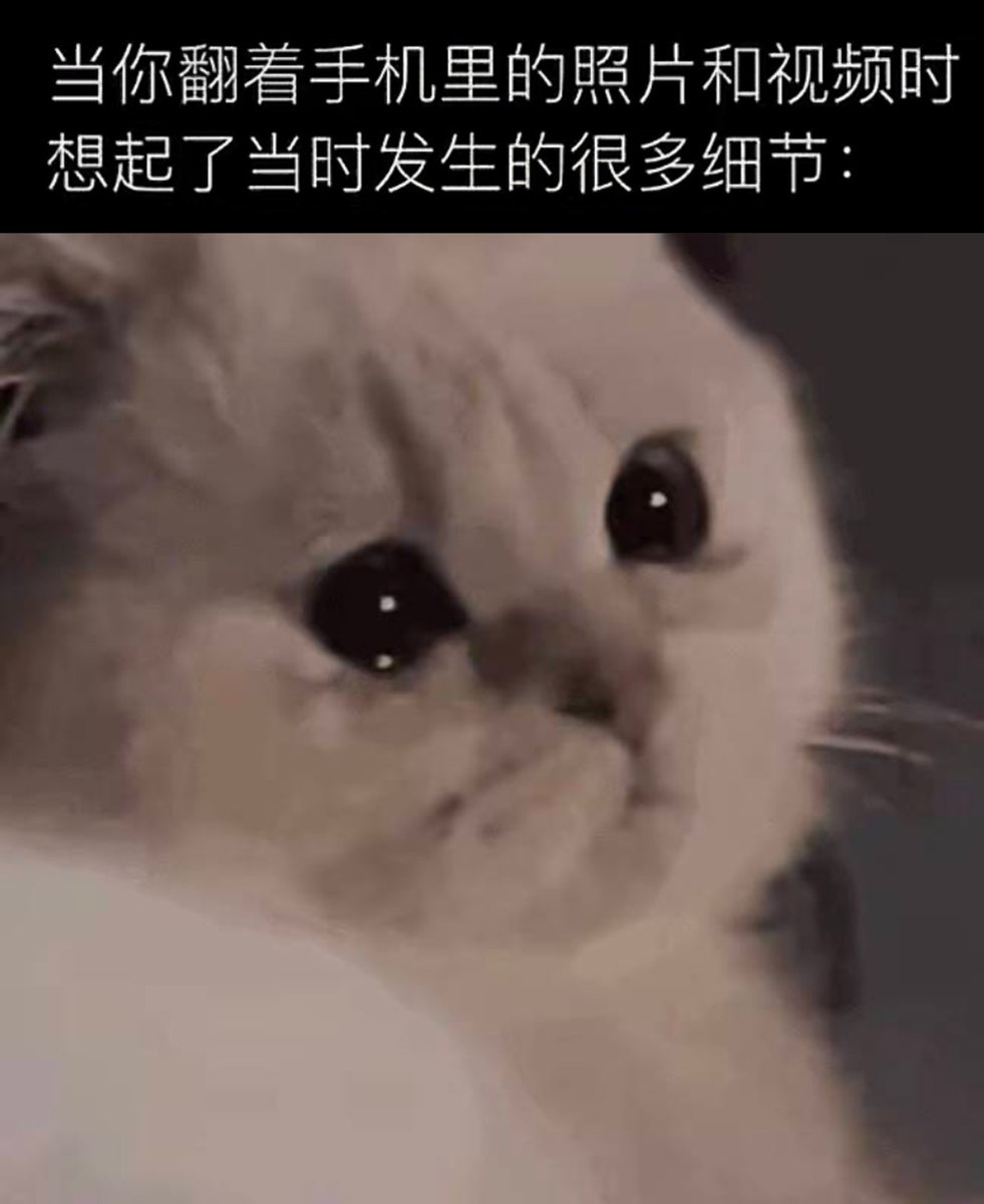我们无法预知某个瞬间的价值 直到它成为回忆 https://t.co/nK1DgmJZ7j