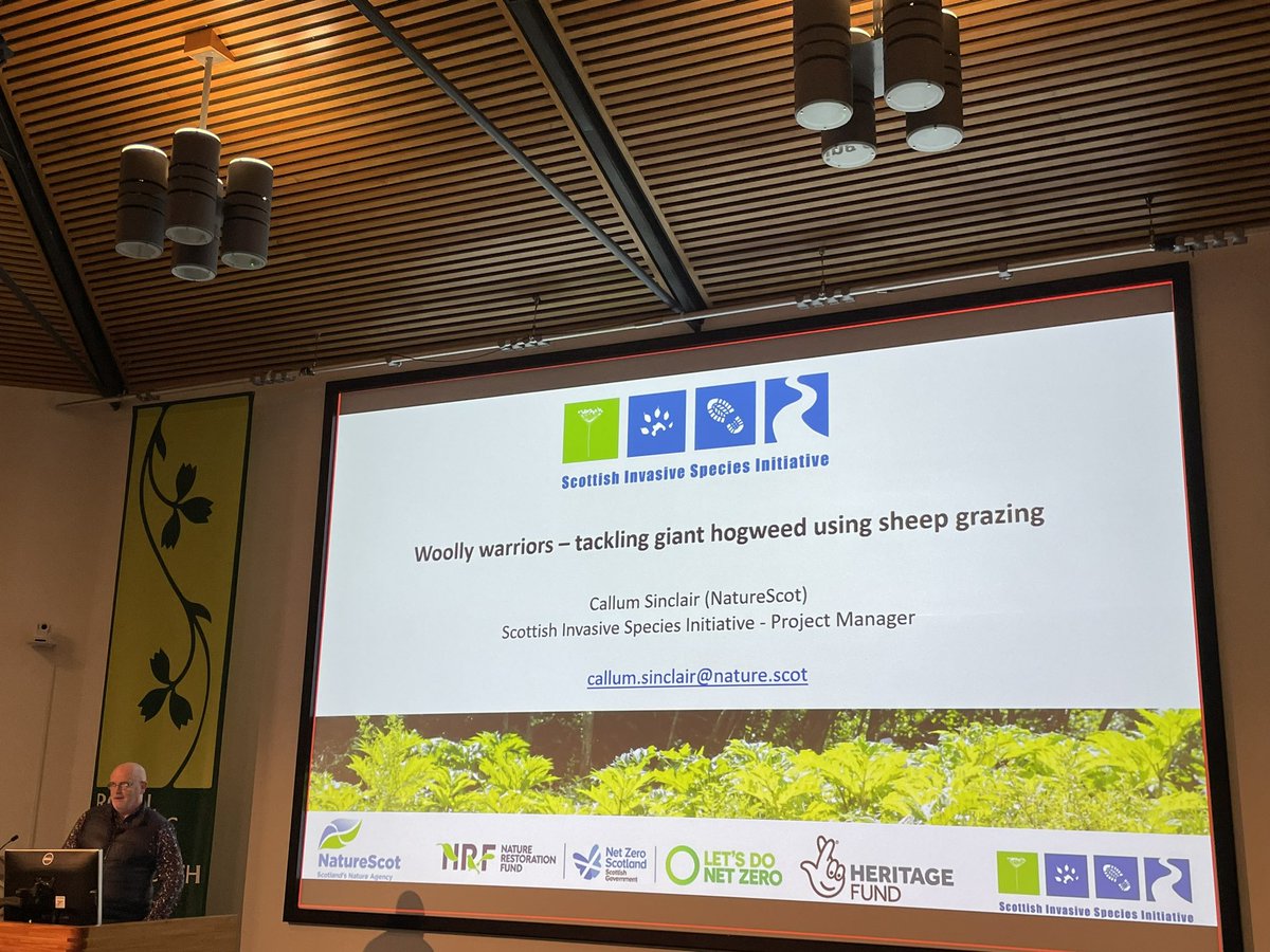 Fascinating to learn that sheep can be used to control #gianthogweed in a great talk by Callum Sinclair from the NatureScot Scottish Invasive Species Initiative at the Scottish Botanists Conference <a href="/BSBIbotany/">BSBI: Botanical Society of Britain & Ireland</a> <a href="/SISI_project/">Scottish Invasive Species Initiative</a> <a href="/BotSocScot/">Bot Soc Scot</a> #ScotBotanistsConf