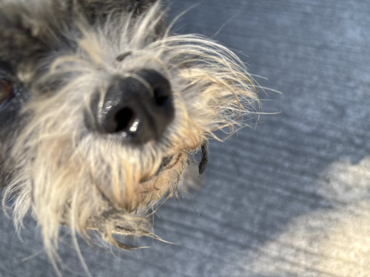 why was this diva following me idek her ..