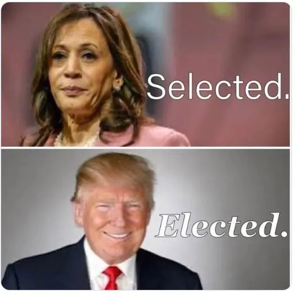 RealMattCouch's tweet image. Vote Trump!