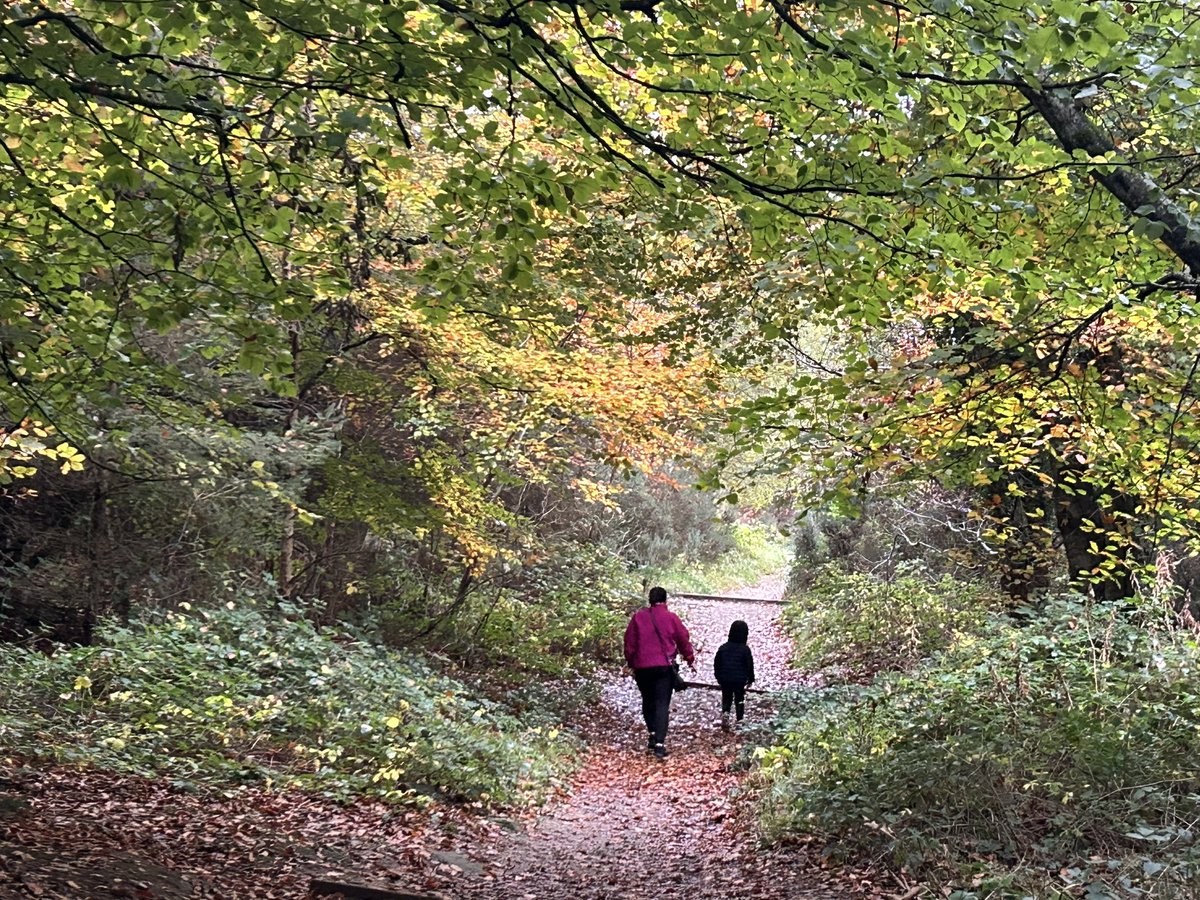 SavetheHellfire tweet media