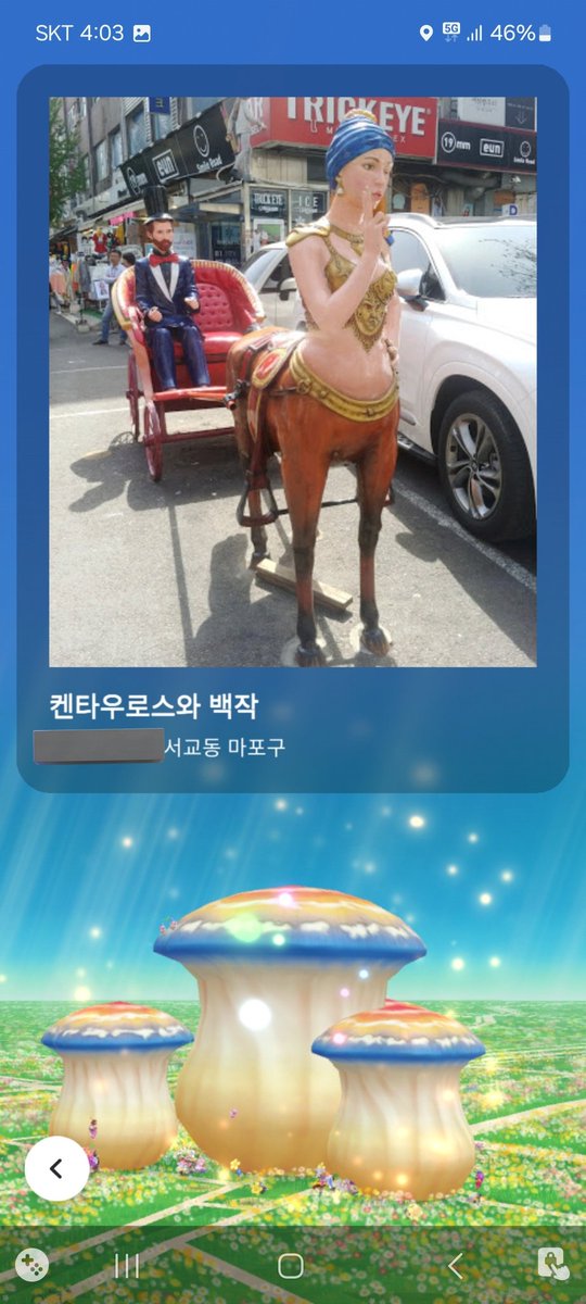 아니 오늘 홍대갔는데 거대버섯 풀팟 생전 첨봄
그리고 엽서도 장난아님 ㅁㅊ