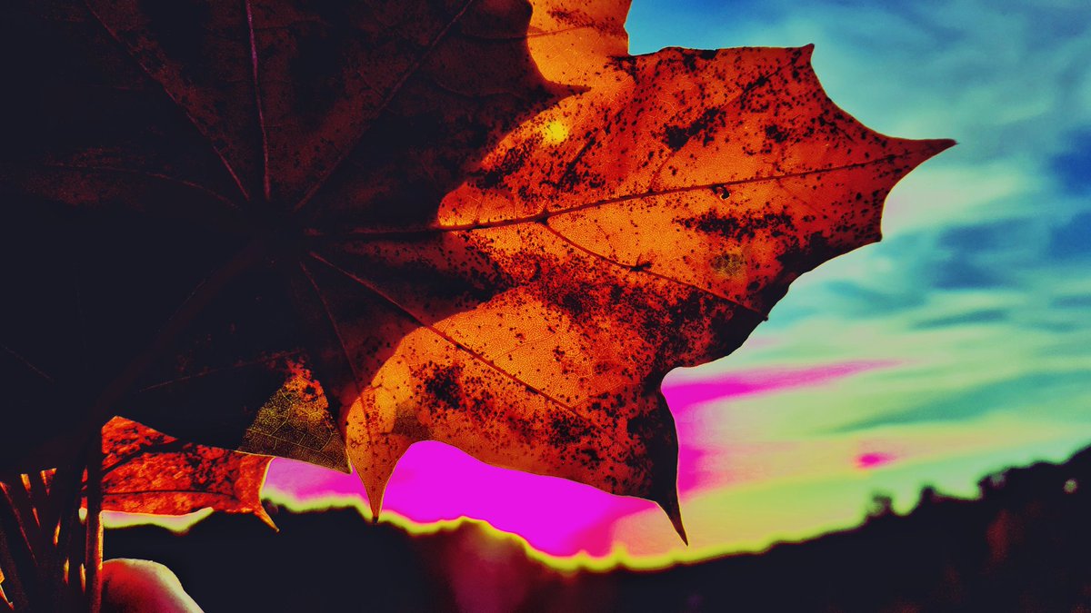 ❥ 𝙄𝙨𝙖 (@___june______) on Twitter photo 