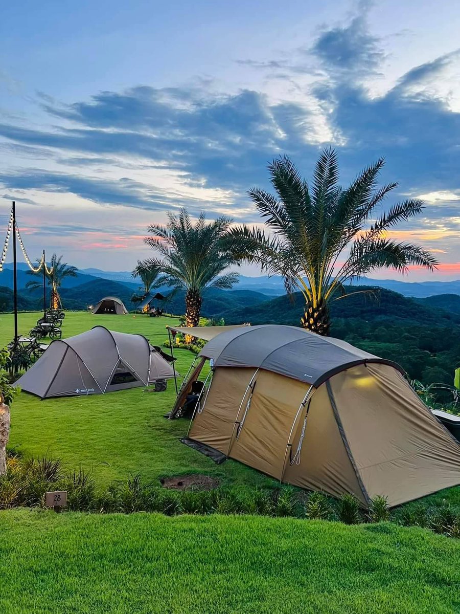 หนวด 🏕️🍺🏕️ tweet media
