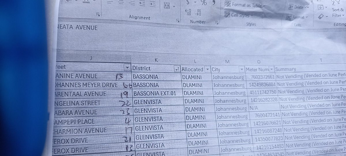 Natalie Madies tweet media