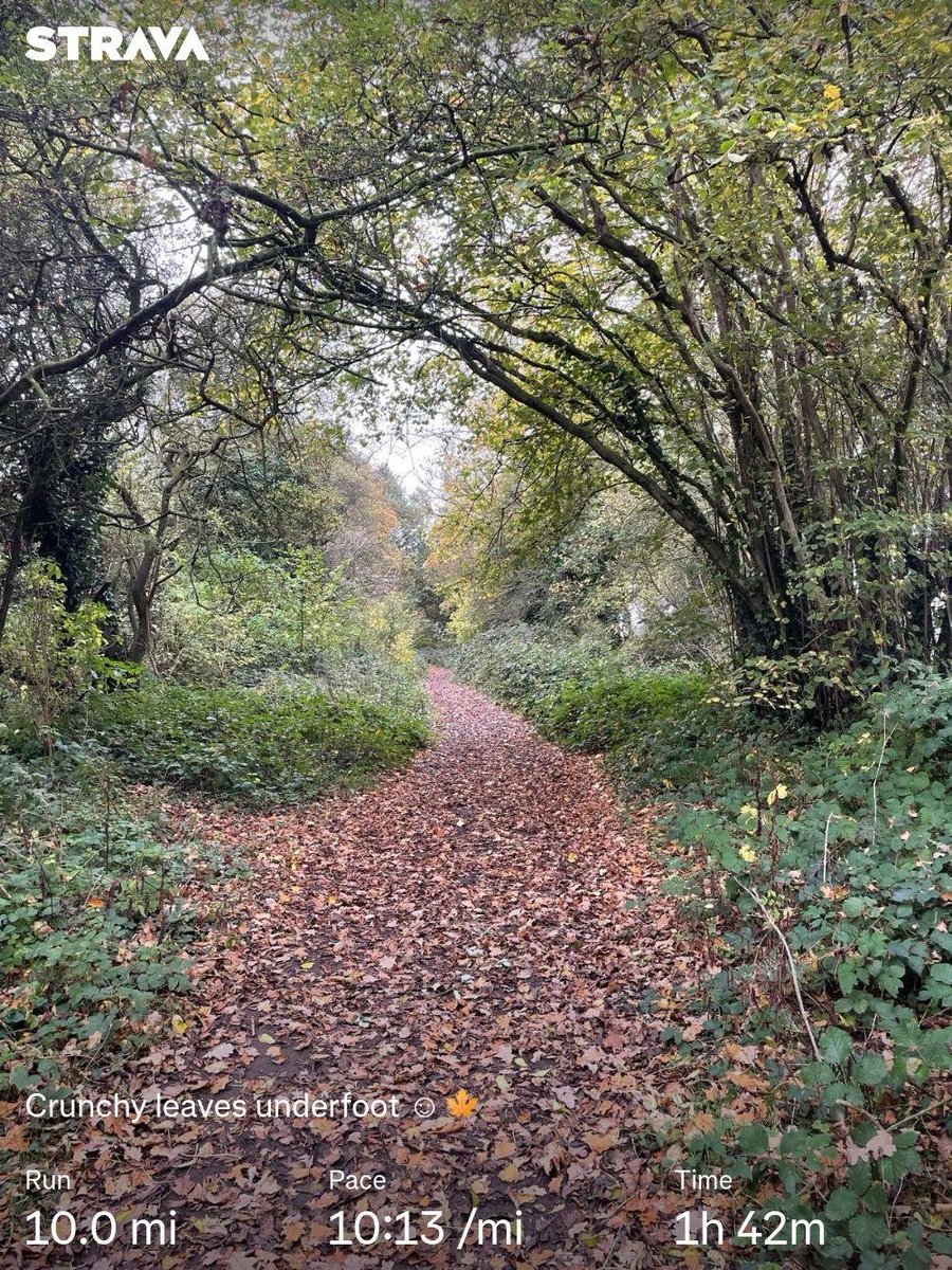 So mild. Crunchy leaves. 🍂 
Run. Done.