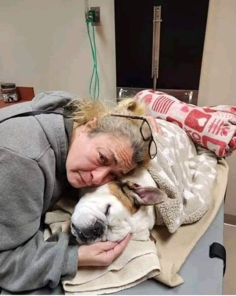 Happy Dog tweet media