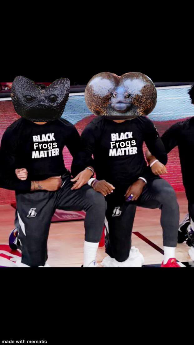 Xeth017's tweet photo. @gainzy222 Remember we are fighting for the rights of black frogs as you vote.

#BlackFrogsMatter. https://t.co/QLG0PXAvSk