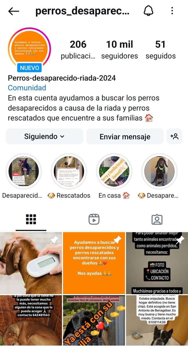 Layra_2009's tweet image. 🔴🆘️🐾 IMPORTANTE PERFIL INSTAGRAM ANIMALES ENCONTRADOS/PERDIDOS 👇
instagram.com/perros_desapar…

#VALENCIA #DANA #PERROSRIADA