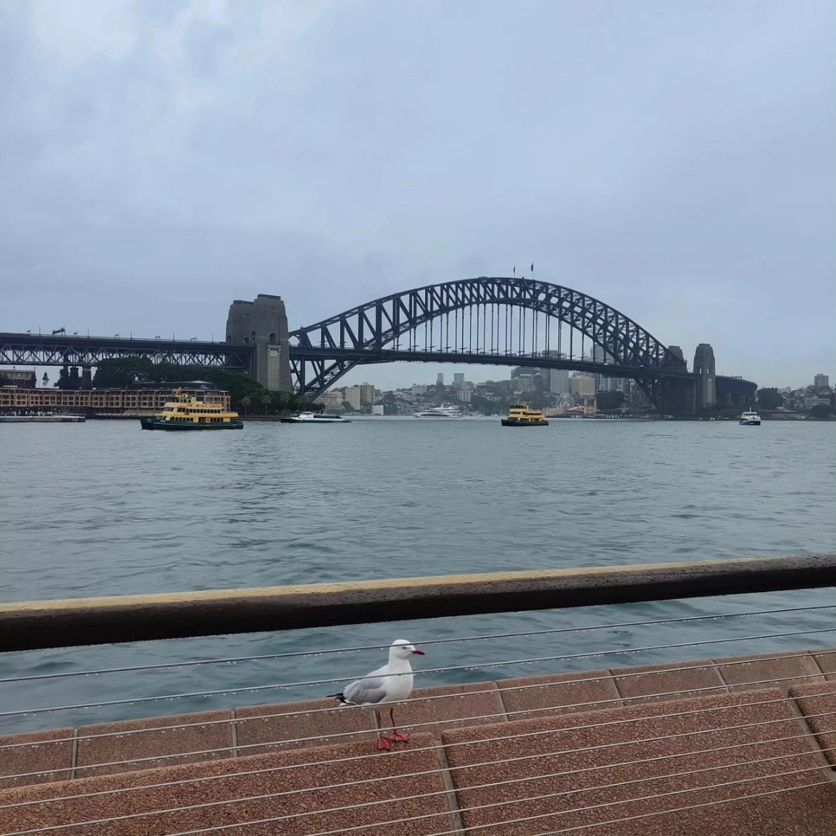 AnthonyTotten1's tweet photo. Sydney Take 1 Part 1 Action!
Harbour bridge, museum, The Matrix filming locations, and Sydney Opera House https://t.co/EsuVkZvfmZ