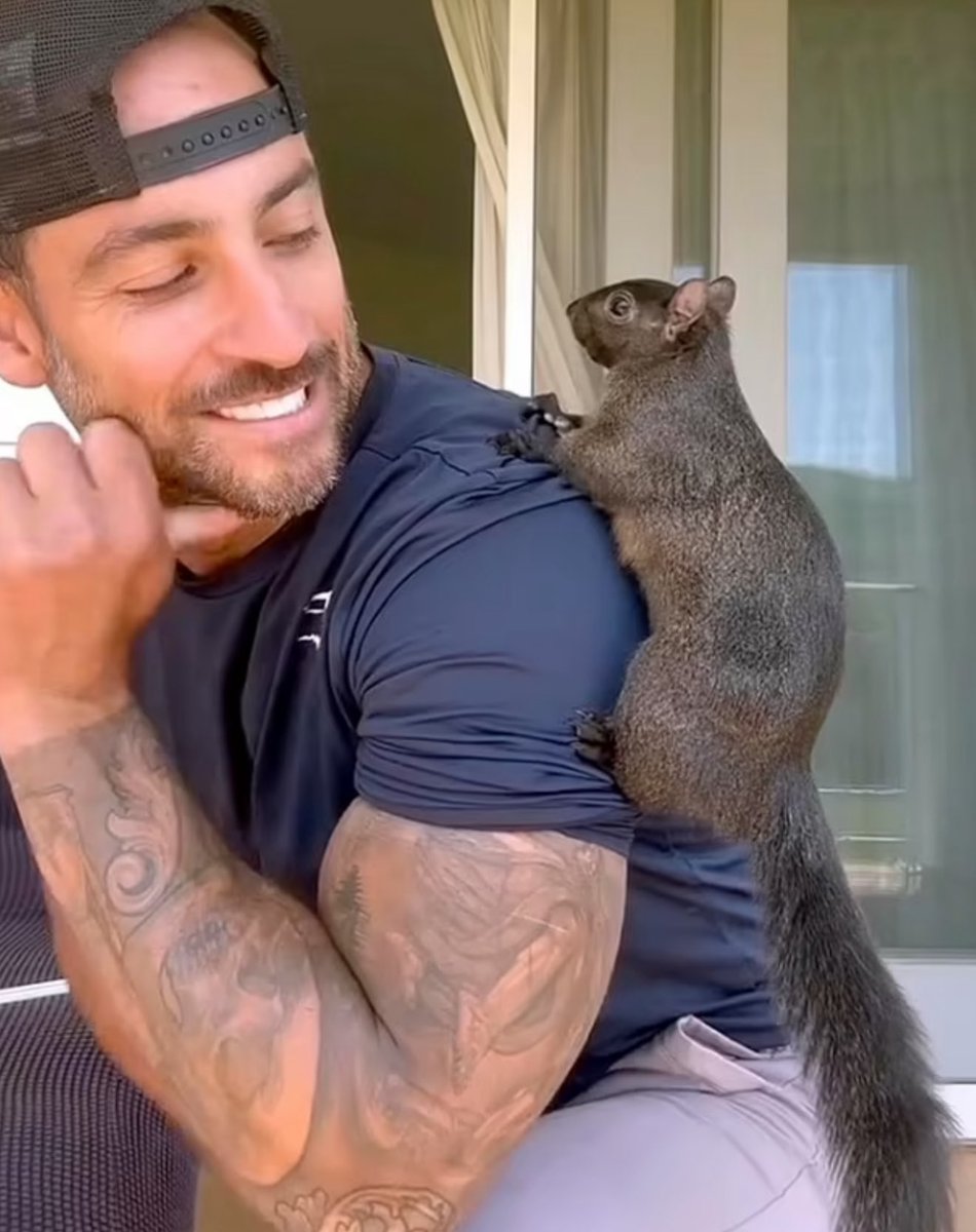 MAGAVoice's tweet image. Do you support the Owner of Peanut the Squirrel suing New York into oblivion for k*lling his pets ?

YES or NO ?