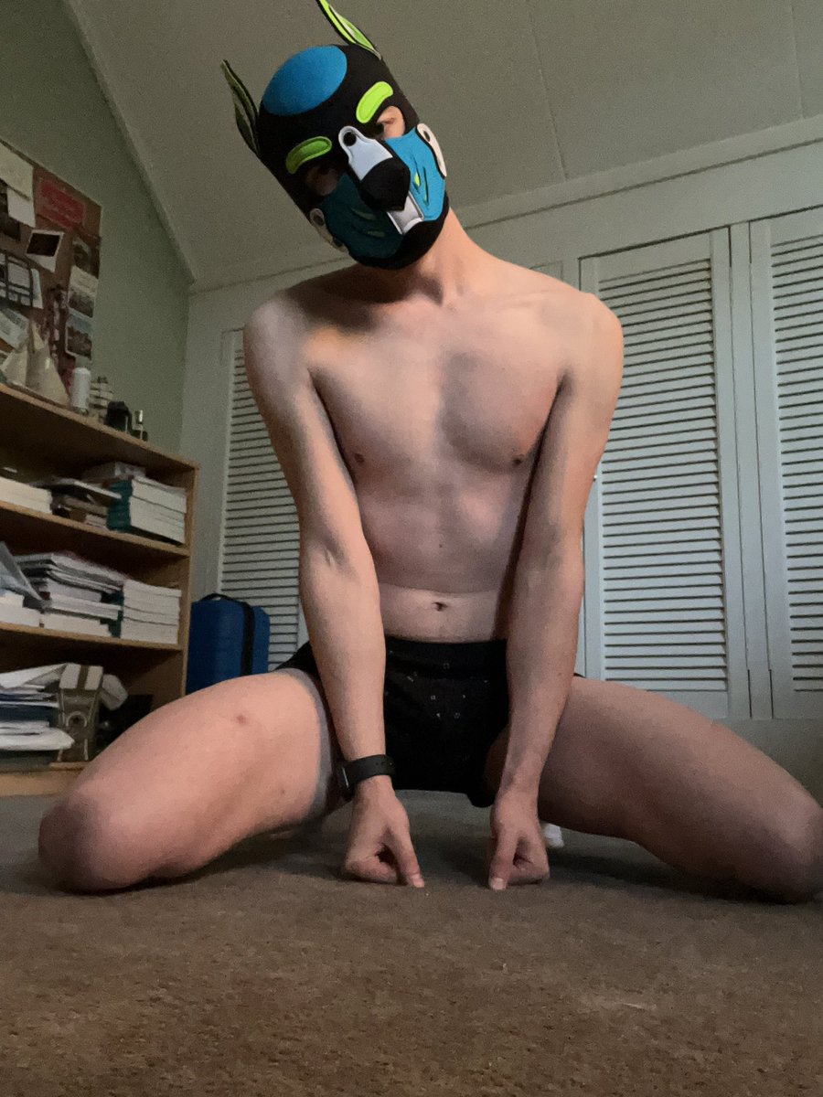 Good Boy Ludof tweet media