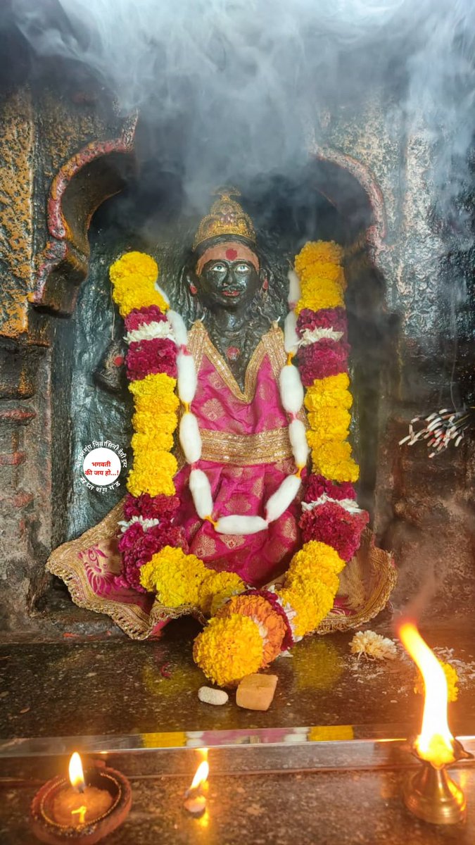 SHREE SAPTASHRUNG NIWASINI DEVI TRUST (SSNDT) tweet media