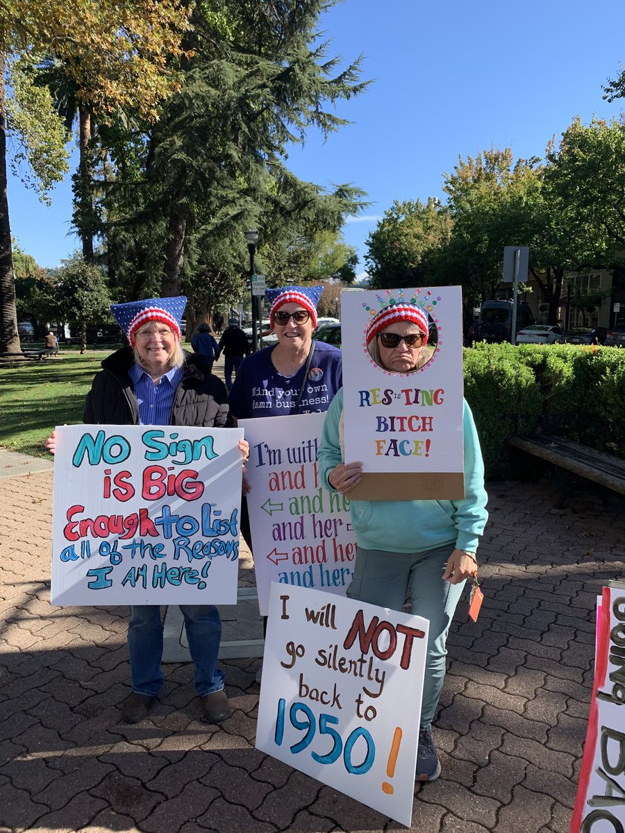 kraftytess's tweet photo. #GOTV RALLY  @IndivisibleHBG @womensmarch Healdsburg plaza! https://t.co/c9N9bHsQt9