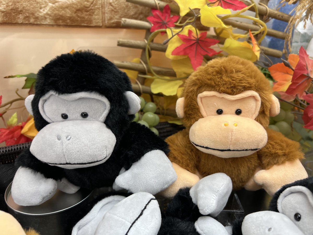 プライズ入荷情報♪】 「わんぱく！ごりらぶらざーずぬいぐるみ」が