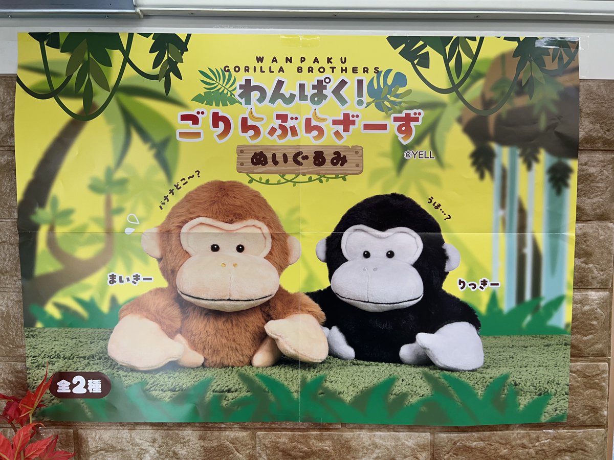 プライズ入荷情報♪】 「わんぱく！ごりらぶらざーずぬいぐるみ」が