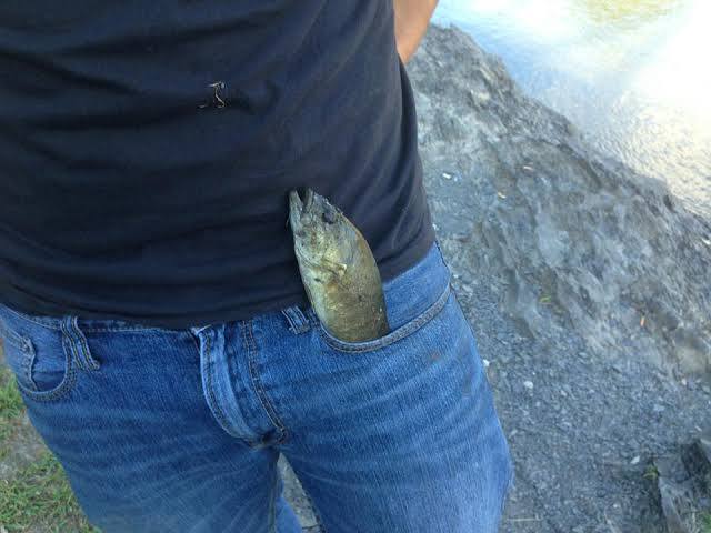 justaguynoob's tweet photo. @kilorippy You need get fish in your pocket habibi $AI69 #AI69
https://t.co/7cJAQCvStE https://t.co/L5DJbY1KuX