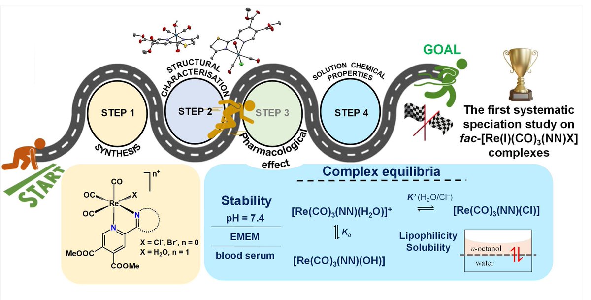 Check out our new paper, which is the first systematic solution speciation studies on fac-tricarbonylrhenium(I) complexes. Thanks to the group of Iztok Turel for the nice collaboration.
pubs.acs.org/doi/10.1021/ac…